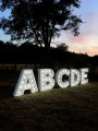 ABCDE (7).JPG